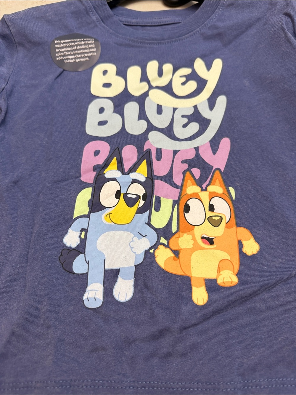 Bluey Kids Short-Sleeve Graphic Tee - Blue